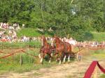 IMG_1352.JPG