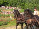 IMG_1356.JPG