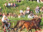 IMG_1365.JPG