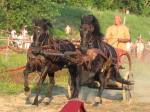 IMG_1373.JPG