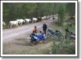 DSCN1212.JPG