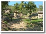 DSCN1232.JPG