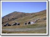 DSCN4455.JPG