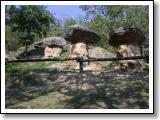 DSCN4549.JPG