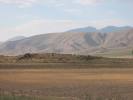 IMG_1503.JPG