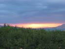 IMG_3270.JPG