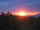 IMG_3272.JPG