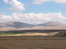 IMG_3348.JPG
