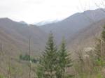 IMG_0227.JPG