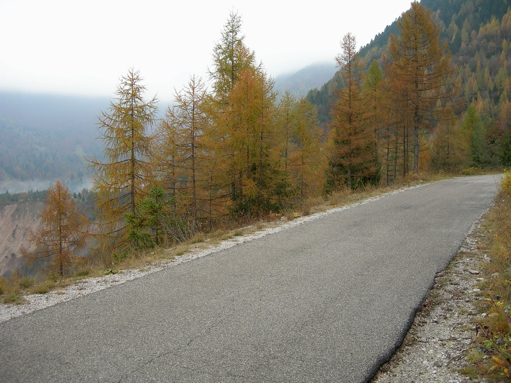 Sauris Vajont Taziononno 07.JPG