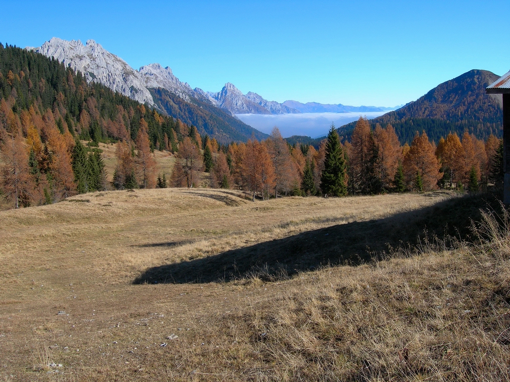 Sauris Vajont Taziononno 15.JPG